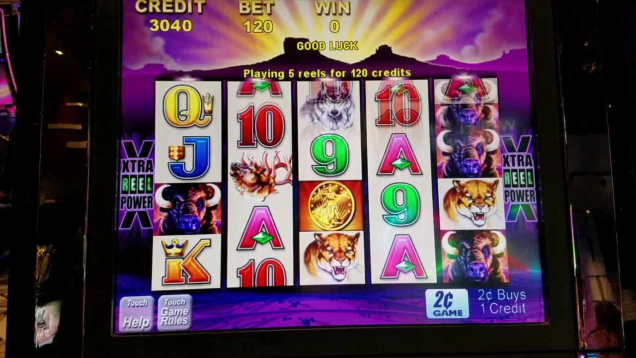 730% Best Signup Bonus Casino at Dunder Casino