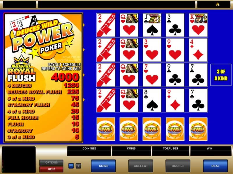 77 Trial Spins at Campo Bet Casino
