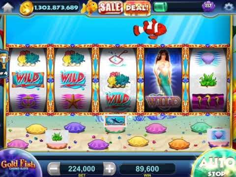 EUR 3680 No deposit at Campo Bet Casino