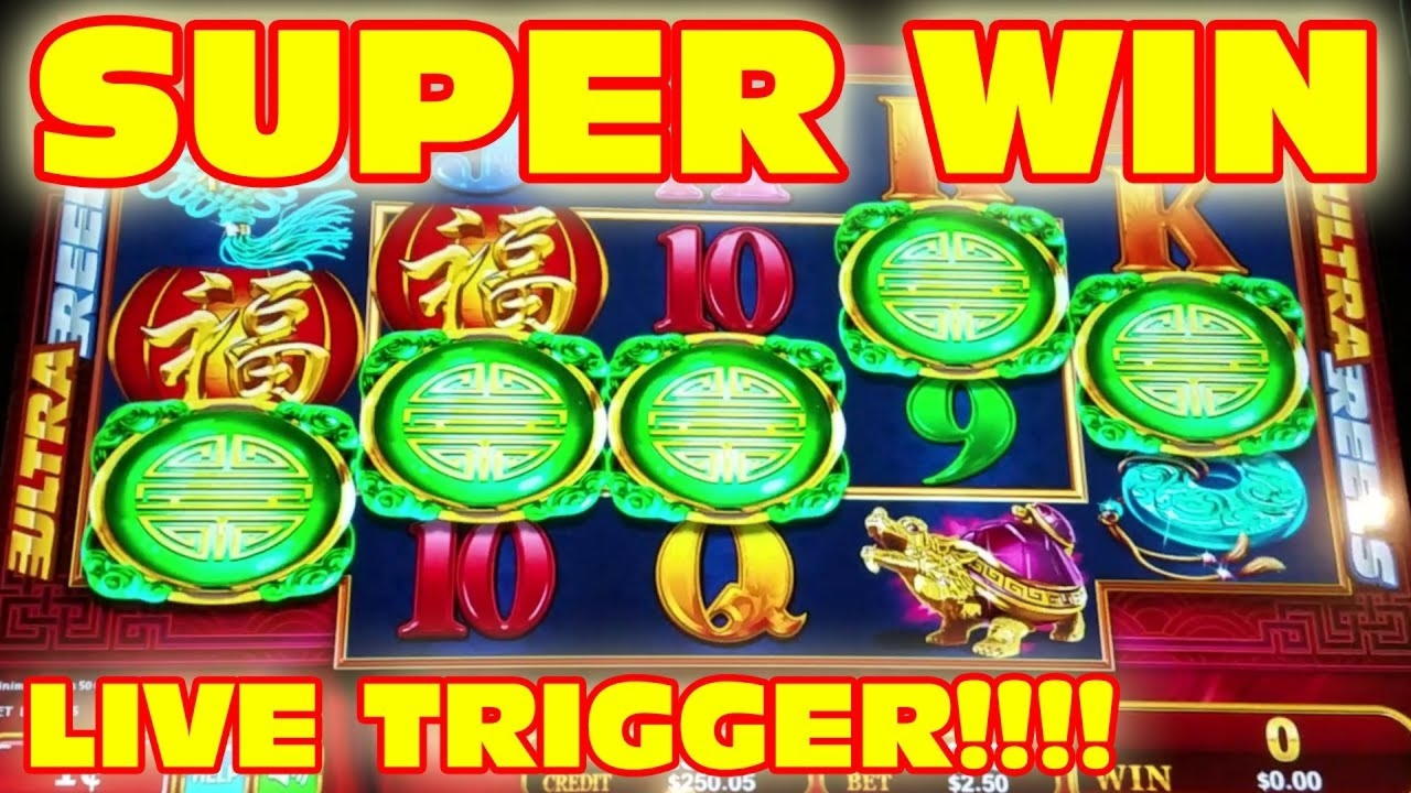 €4830 no deposit at Casinia Casino
