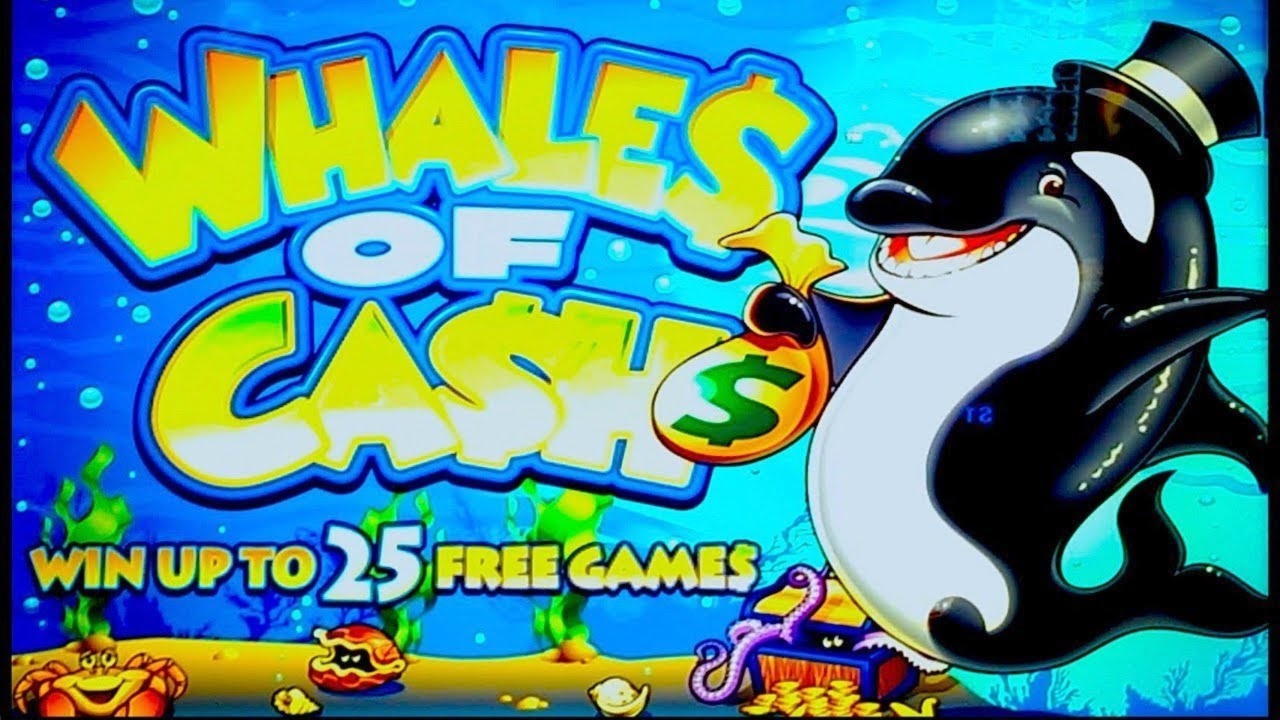 $665 Free Casino Tournament at CasiPlay Casino