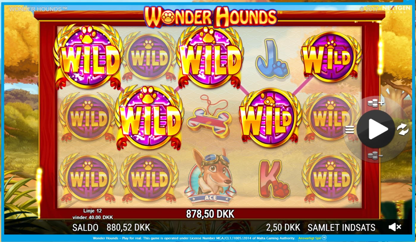 200 FREE SPINS at Wild Blaster Casino