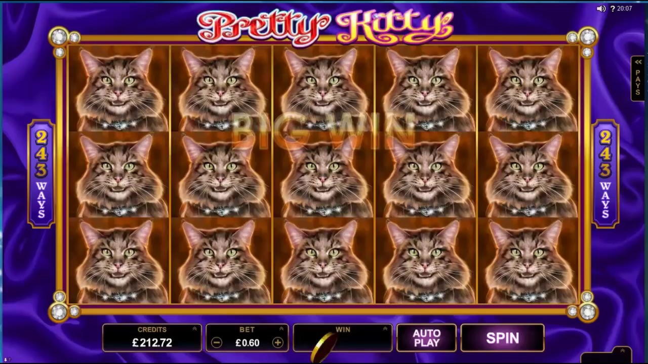 90 Free spins casino at Campo Bet Casino