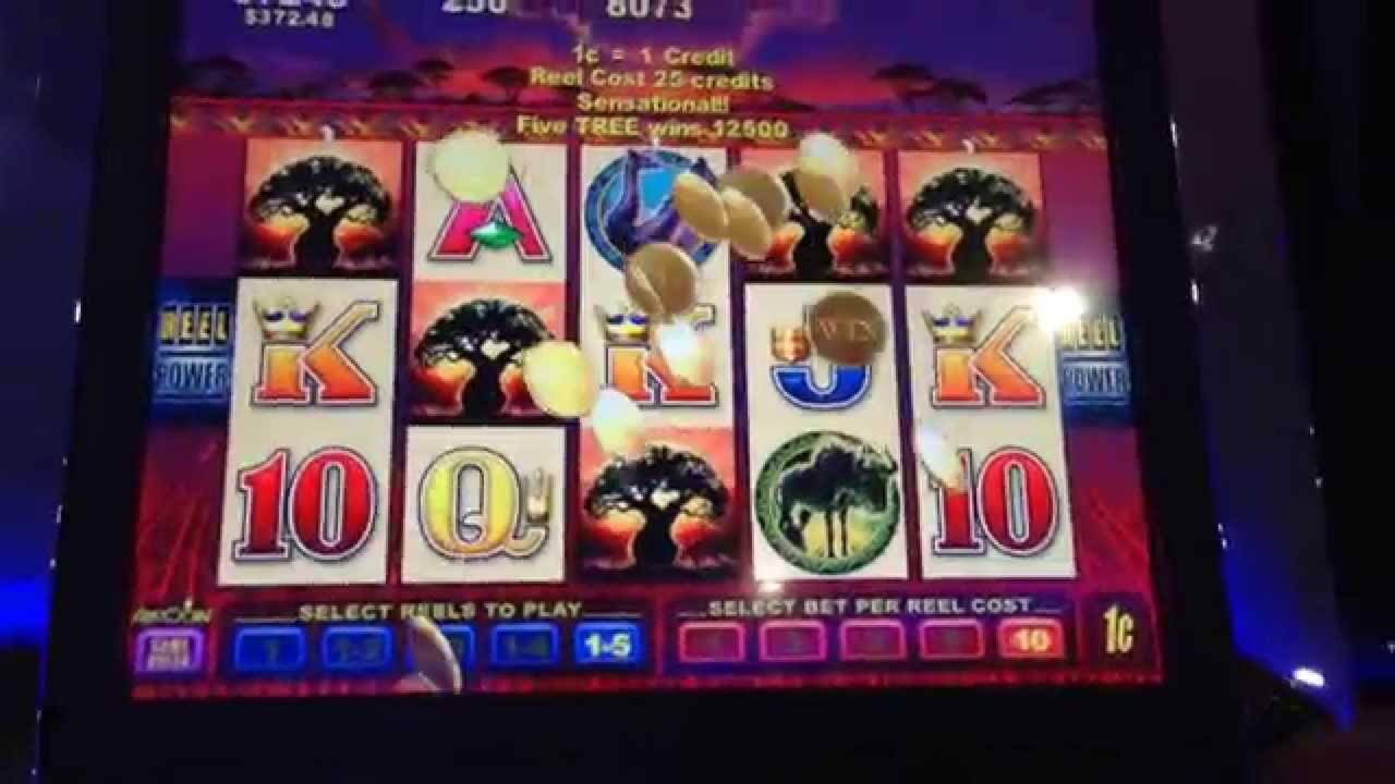 20 free spins at Malina Casino