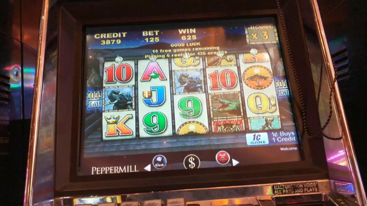 €3145 NO DEPOSIT BONUS at Wild Blaster Casino