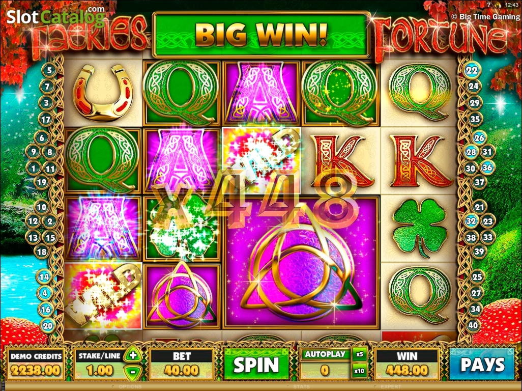 €225 Casino tournaments freeroll at Campo Bet Casino