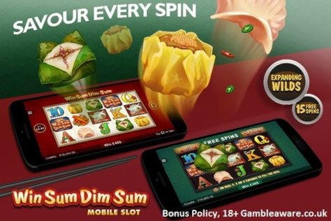 Eur 3545 NO DEPOSIT BONUS CODE at Slotty Dubai Casino