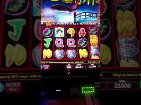 240 Free Spins right now at Wix Stars Casino