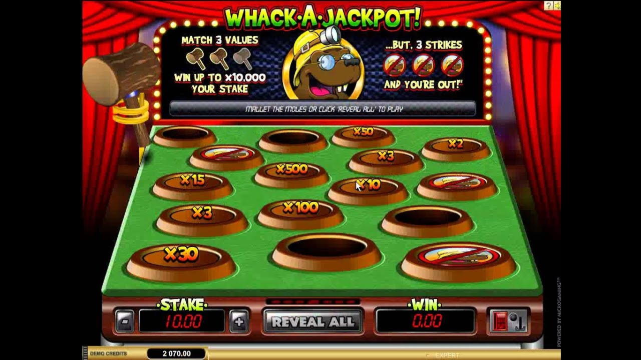 225 free spins no deposit at CasiPlay Casino