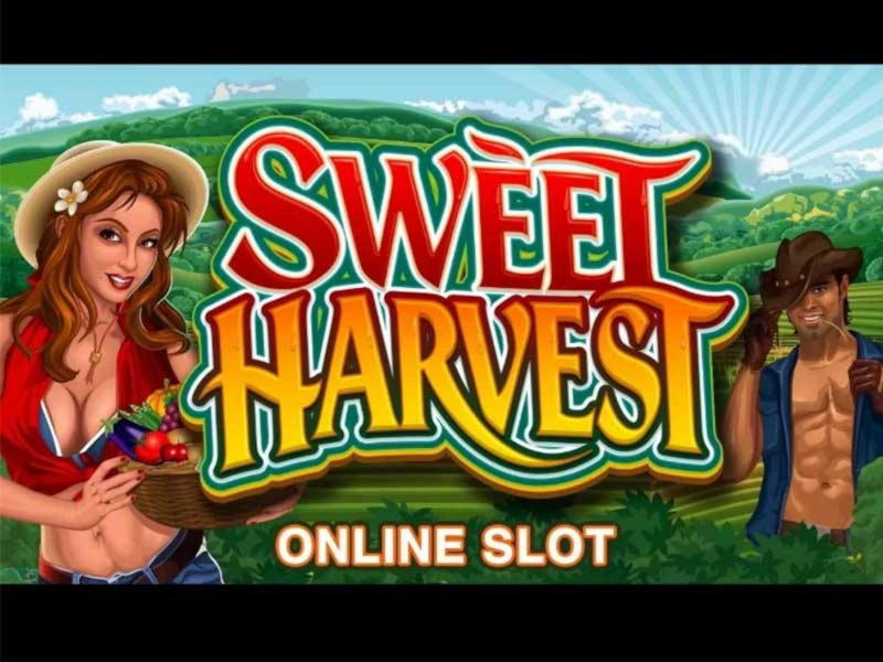 60 free spins casino at Video Slots Casino