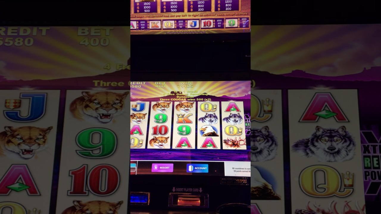 111 Free Spins no deposit at Malina Casino