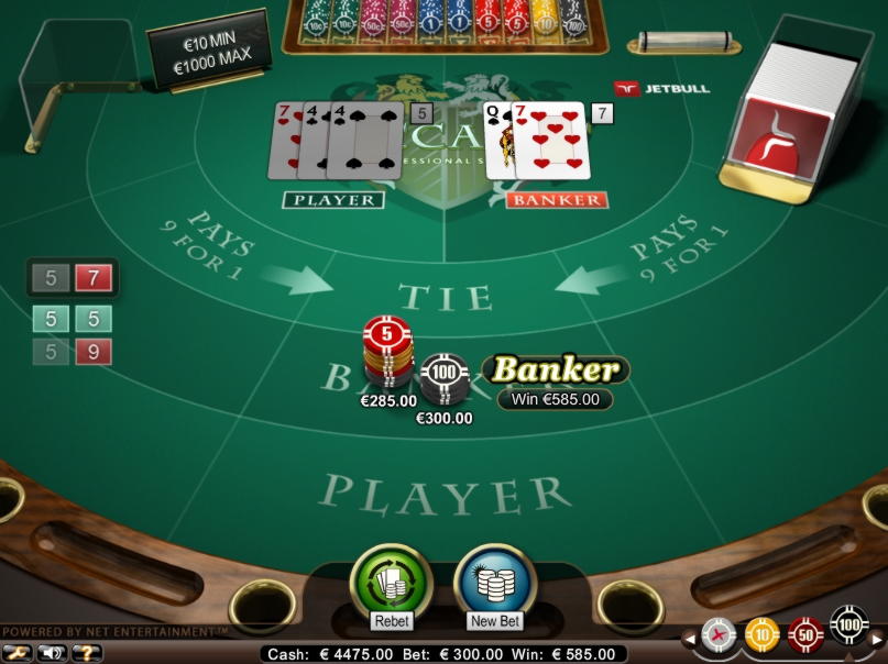590% Match bonus casino at Campo Bet Casino