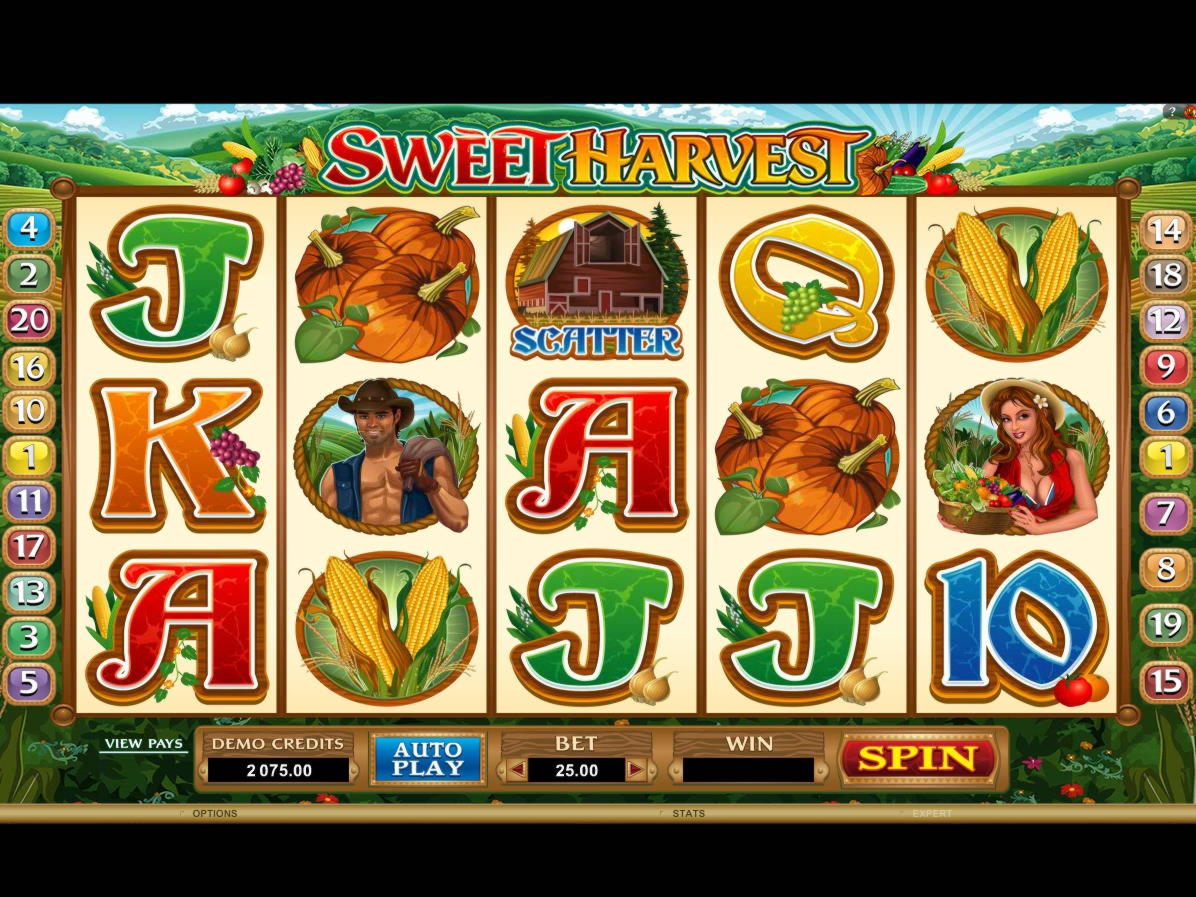 $970 Casino tournaments freeroll at LSbet Casino
