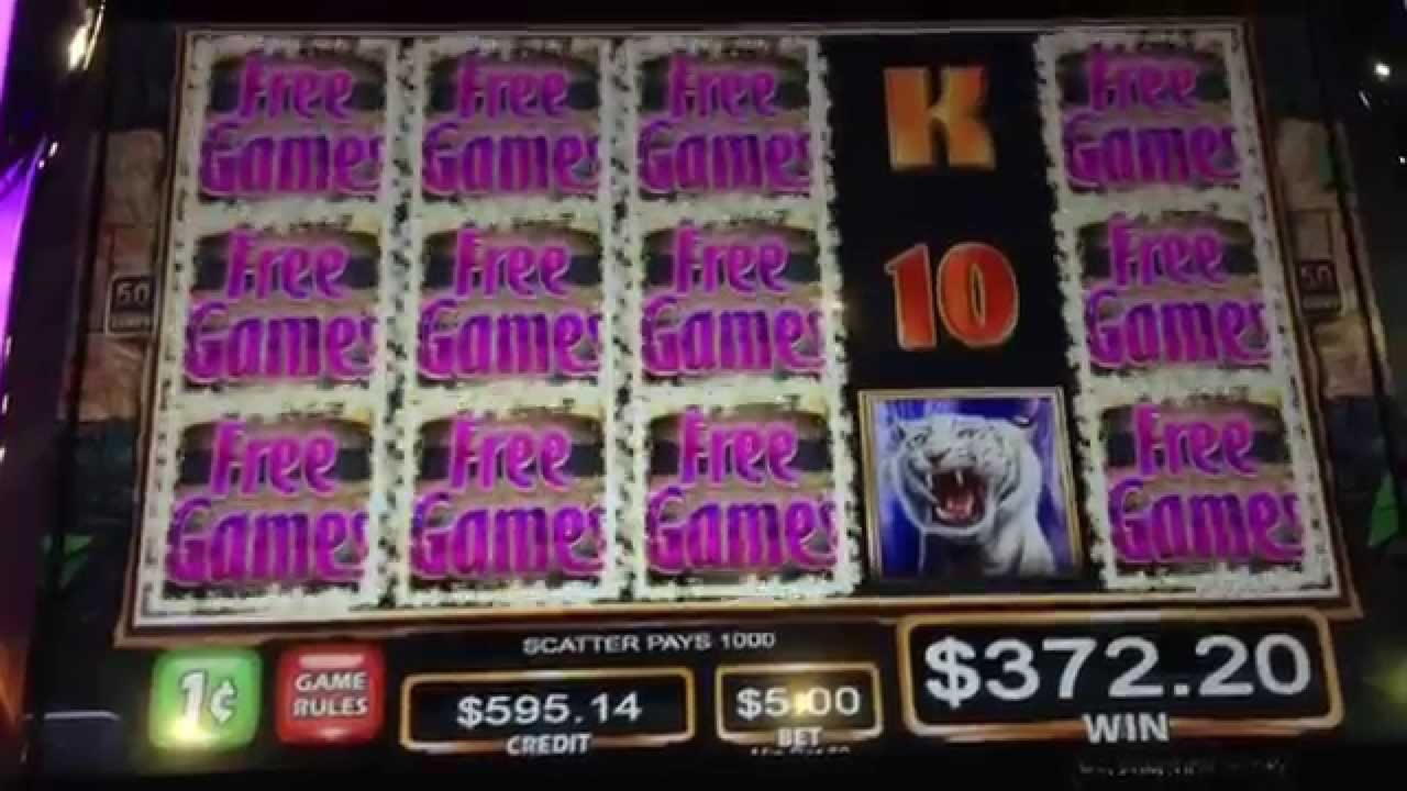 $395 Casino tournaments freeroll at Alf Casino