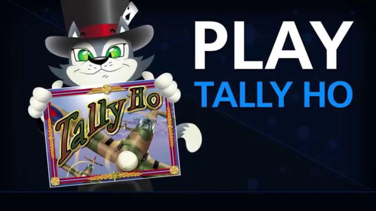 EUR 222 Casino chip at Mrgreen Casino