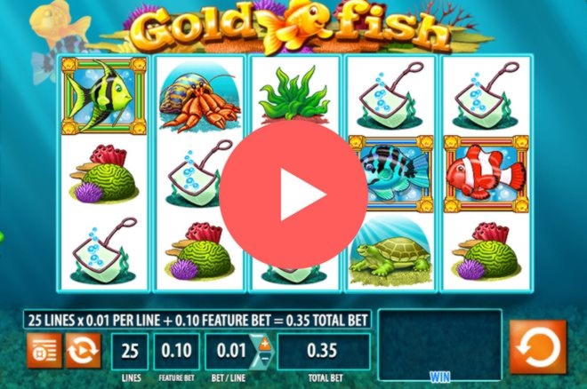 $300 no deposit bonus code at Boa Boa Casino