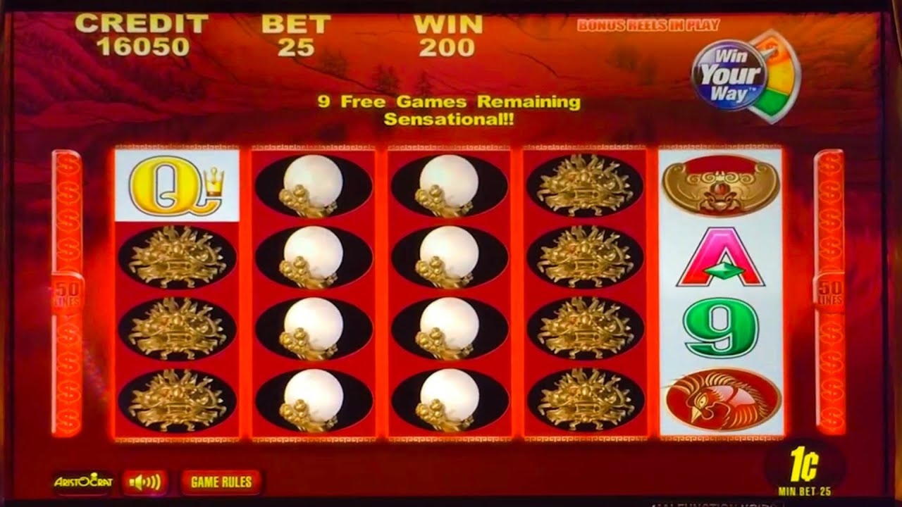 Eur 685 No deposit bonus code at Campo Bet Casino