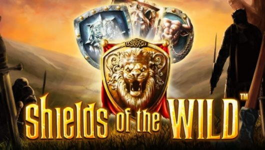 €680 Daily freeroll slot tournament at Dunder Casino