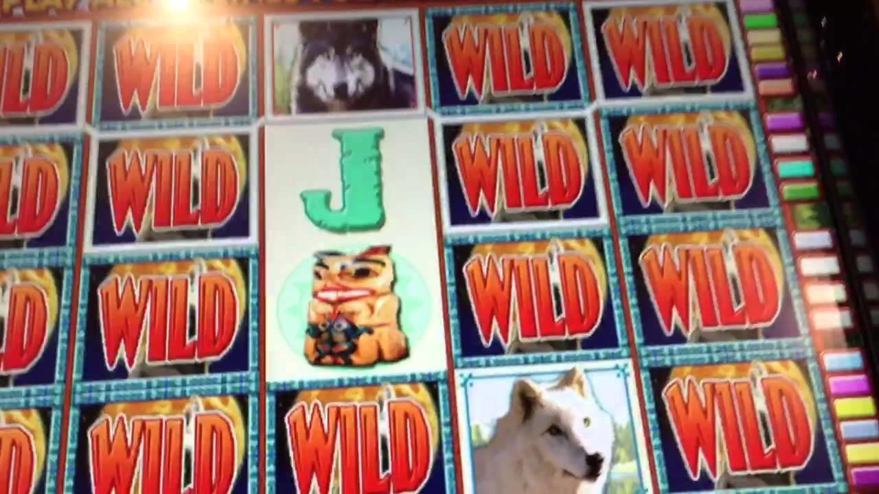 £3605 no deposit bonus casino at Wix Stars Casino