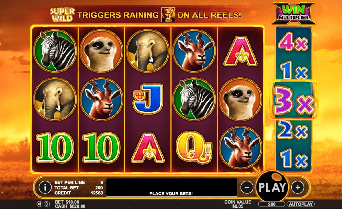 €245 casino chip at Campo Bet Casino