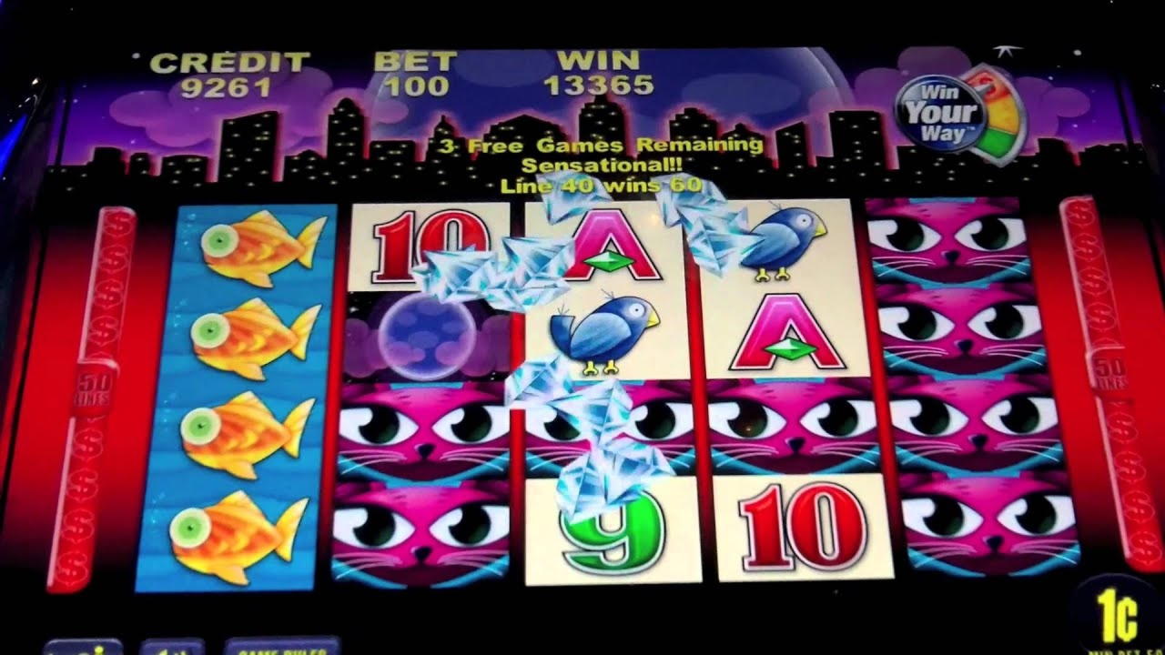 ﻿$270 Daily freeroll slot tournament at 888 Casino