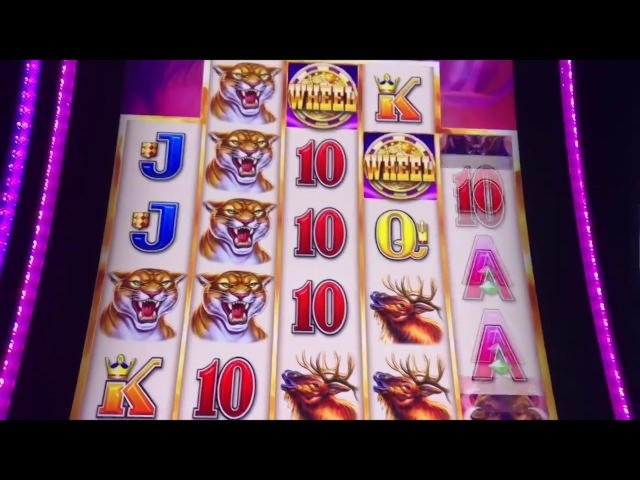 ﻿$2095 no deposit at Dunder Casino