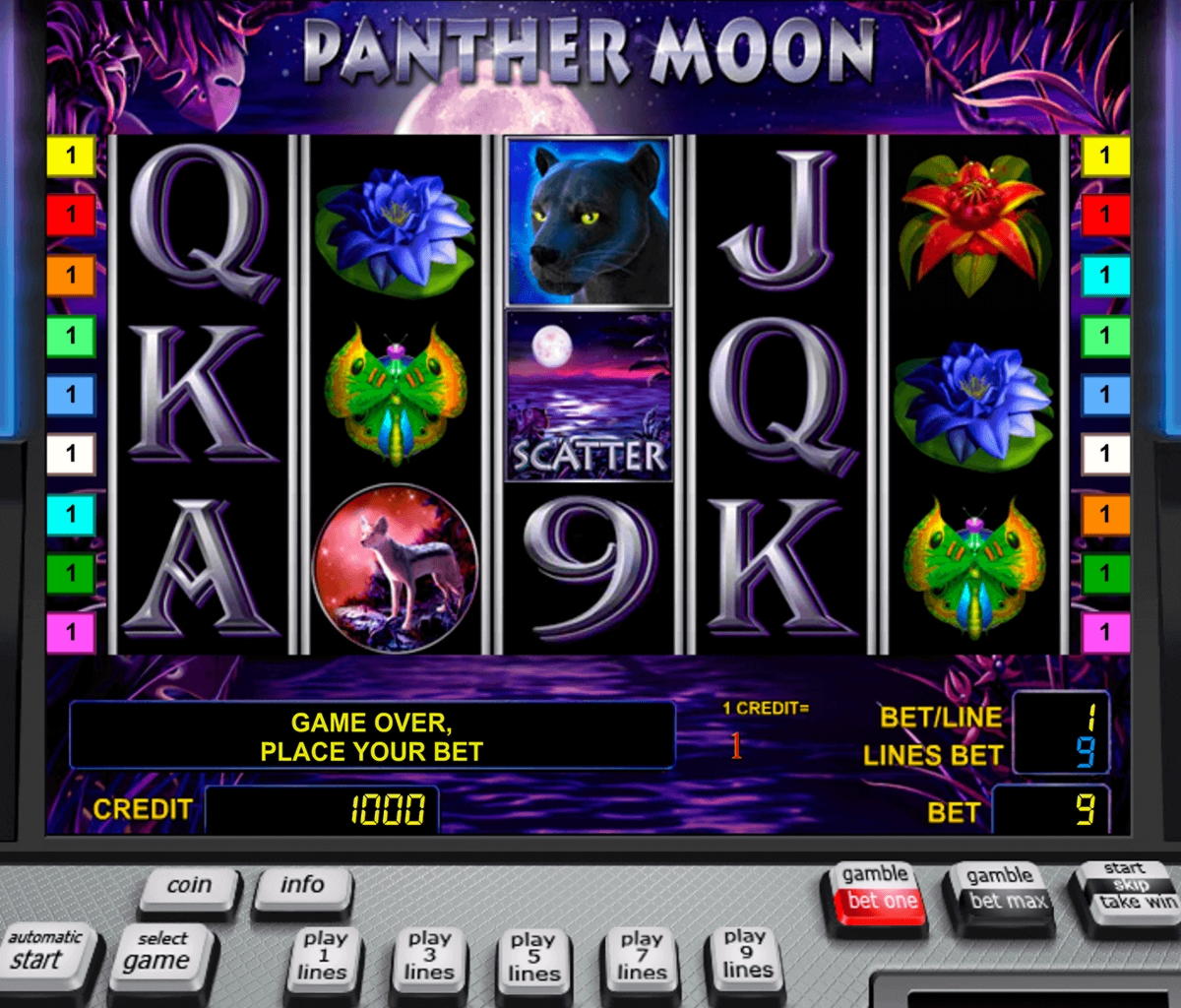 €825 Daily freeroll slot tournament at Wild Blaster Casino