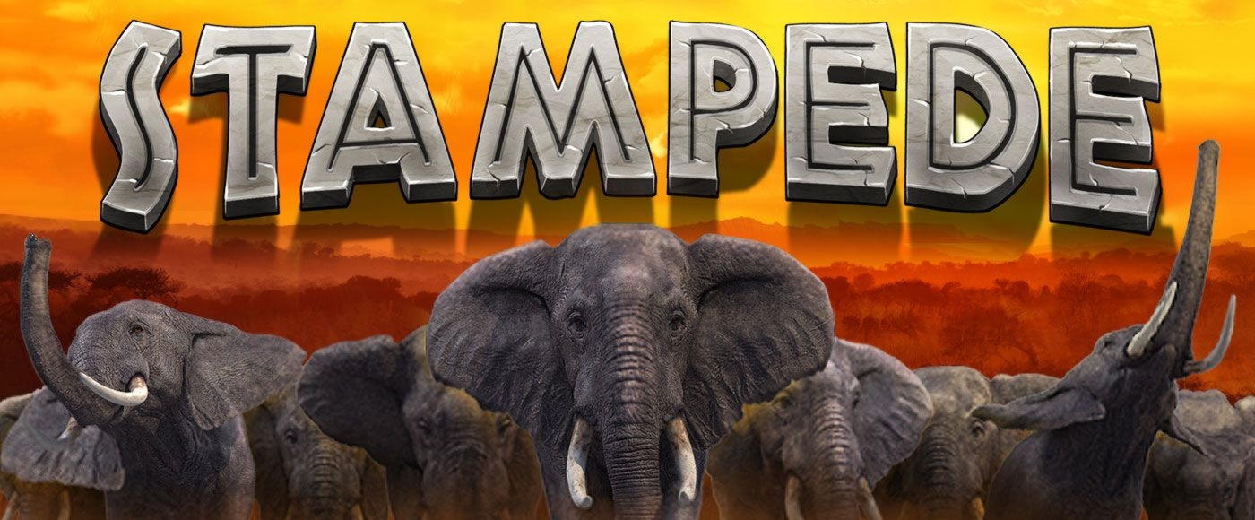 35 free spins no deposit at Campo Bet Casino