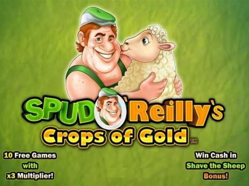 ﻿$3905 no deposit bonus at King Billy Casino