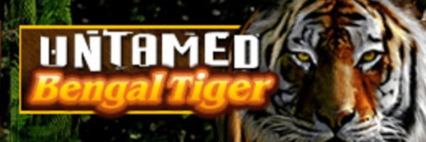 190% Match Bonus at CasiPlay Casino
