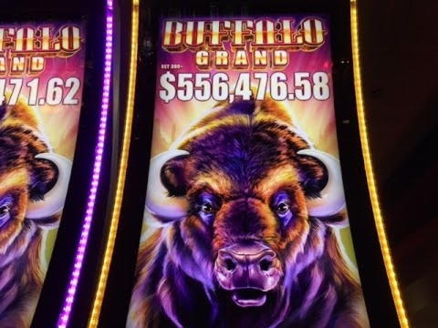 55 free spins at Dunder Casino