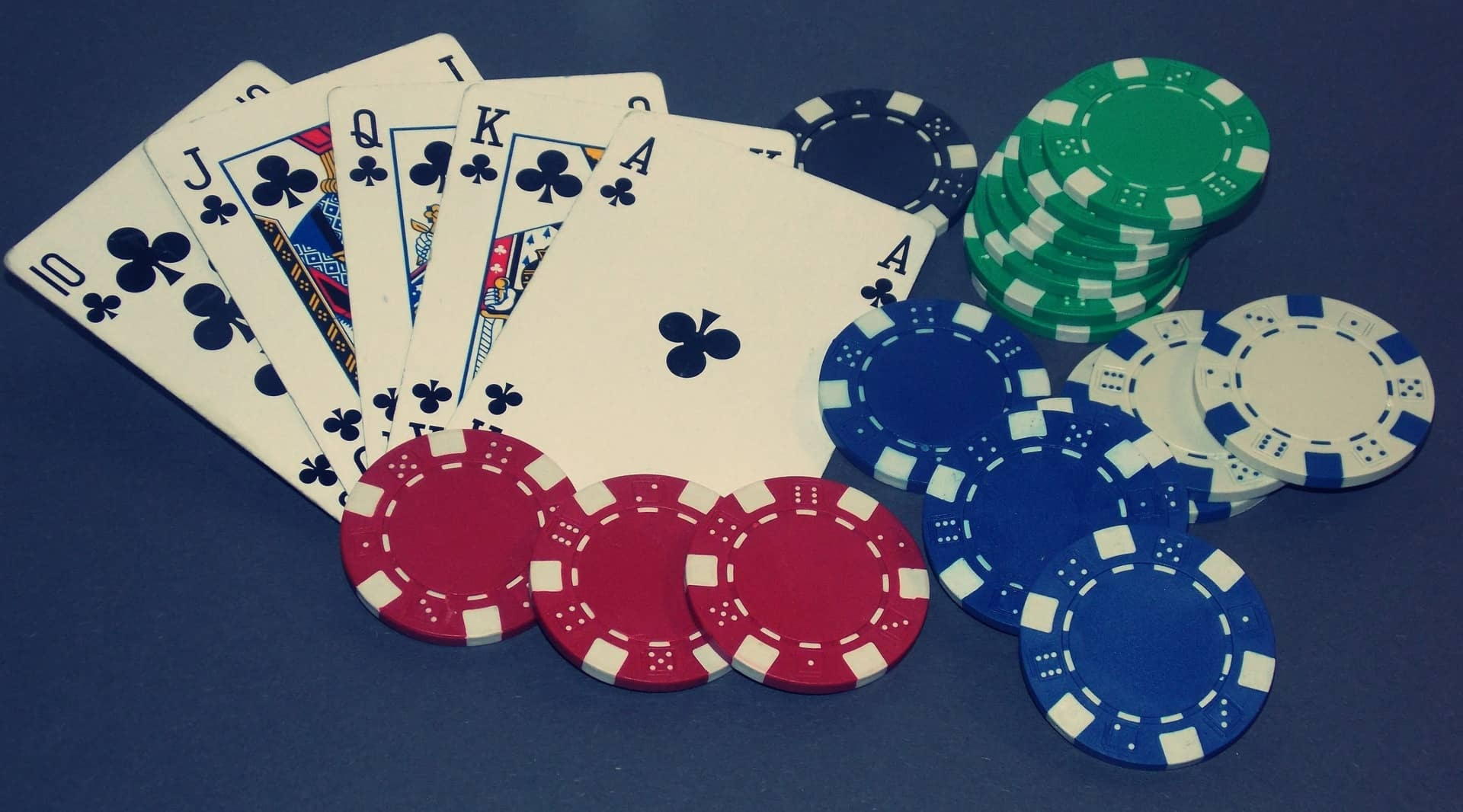 20 Free Casino Spins at Campo Bet Casino