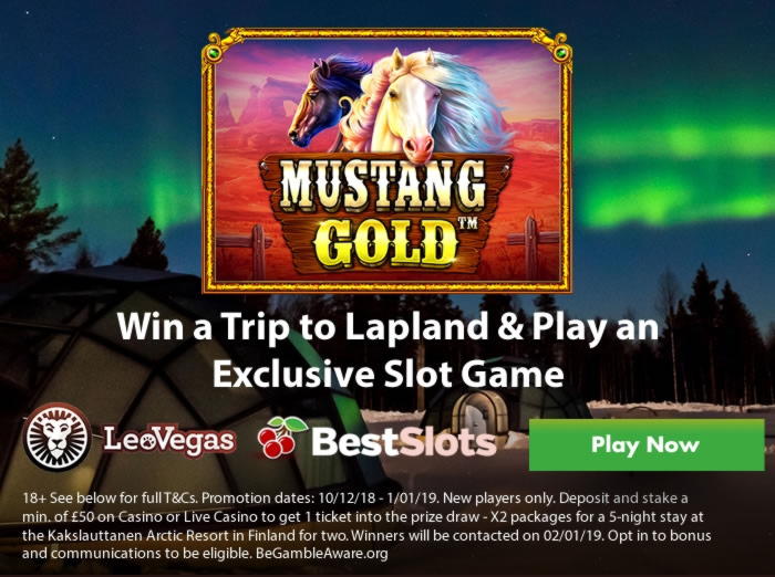 €875 Daily freeroll slot tournament at Buran Casino