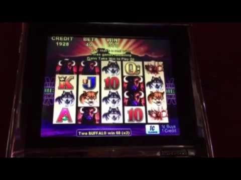 Eur 230 Free casino chip at Cadoola Casino