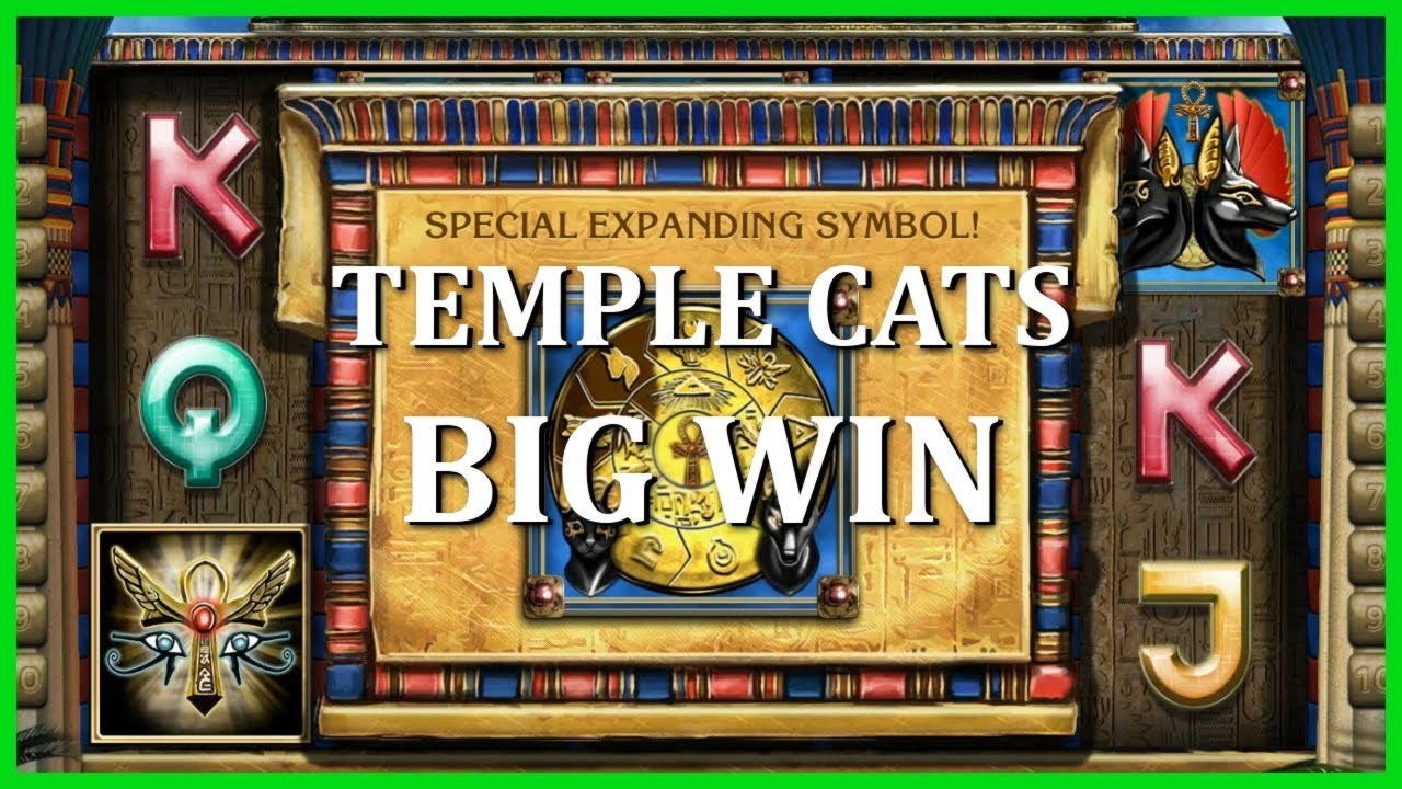 ﻿$2040 no deposit bonus casino at Bet Rebels Casino