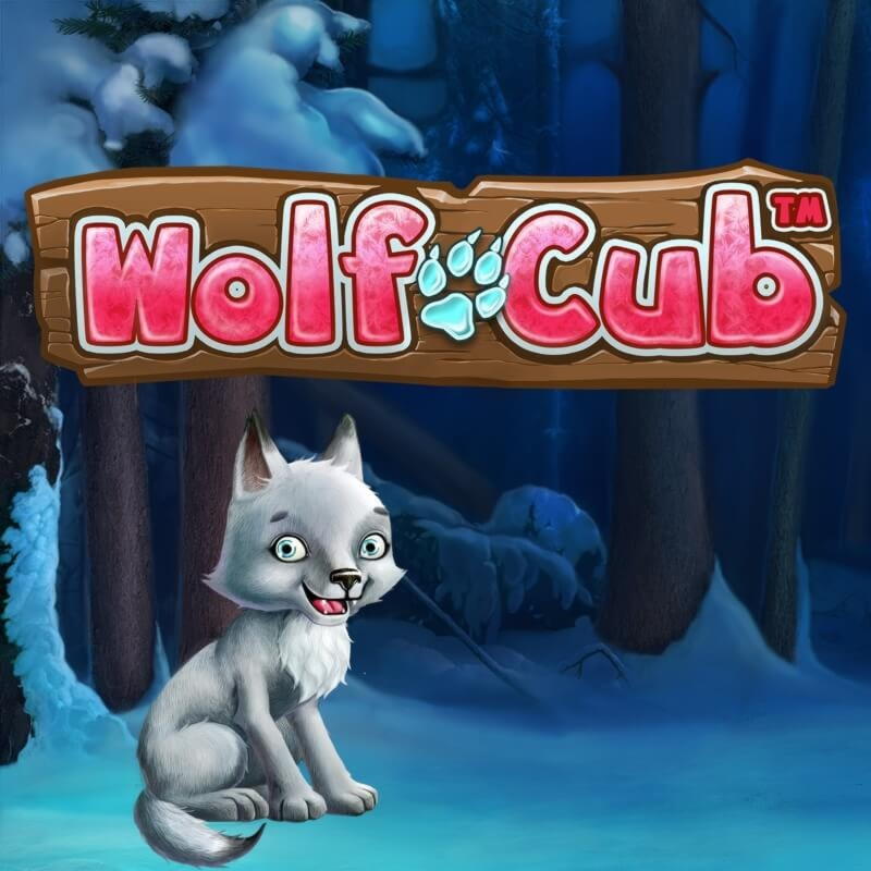 Eur 325 Daily freeroll slot tournament at Wild Blaster Casino