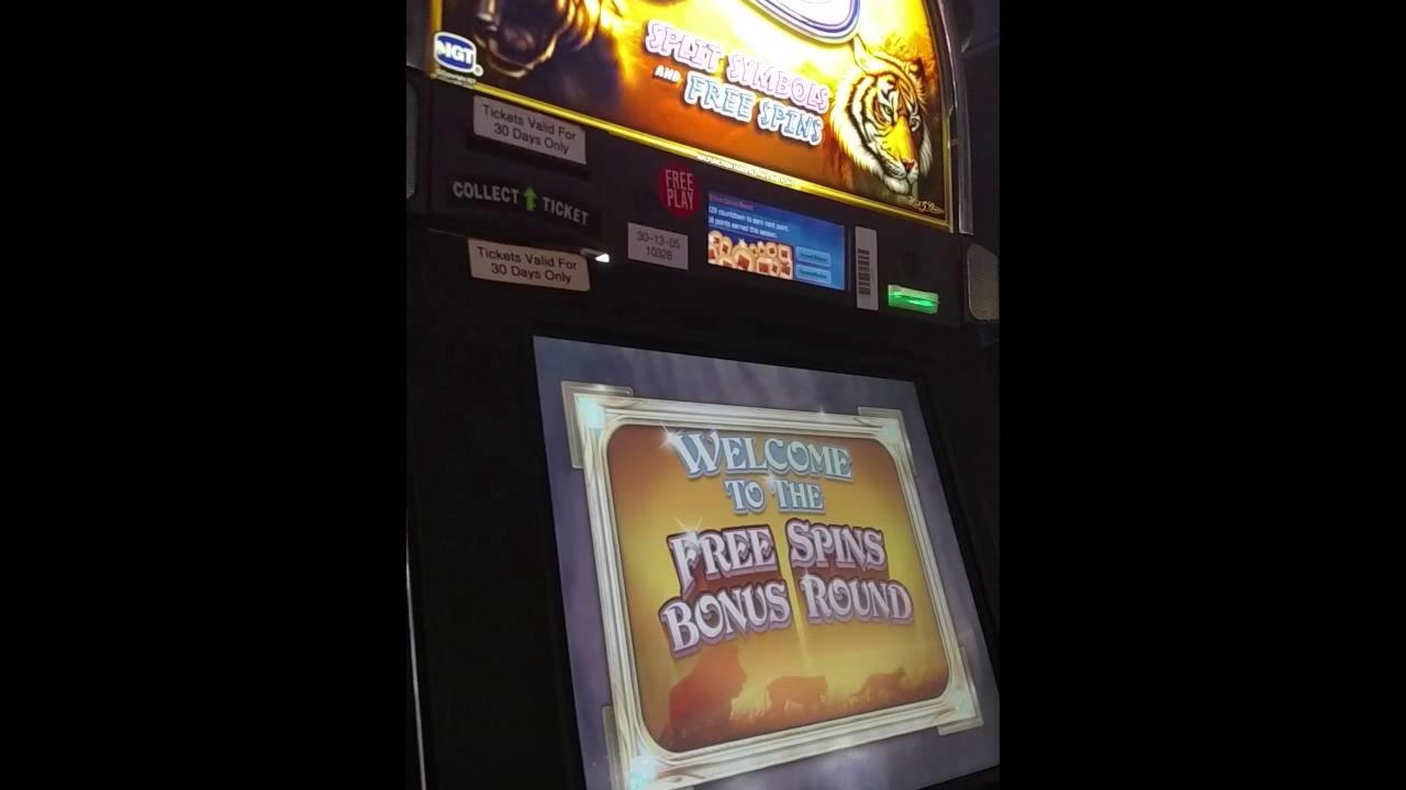 675% Signup casino bonus at Wild Blaster Casino