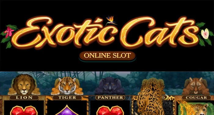 140 Loyalty Free Spins! at Reload Bet Casino