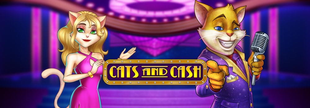 855% Match at a Casino at Wild Blaster Casino