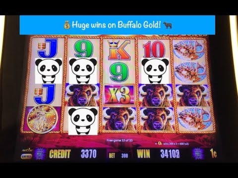 £800 Tournament at Malina Casino