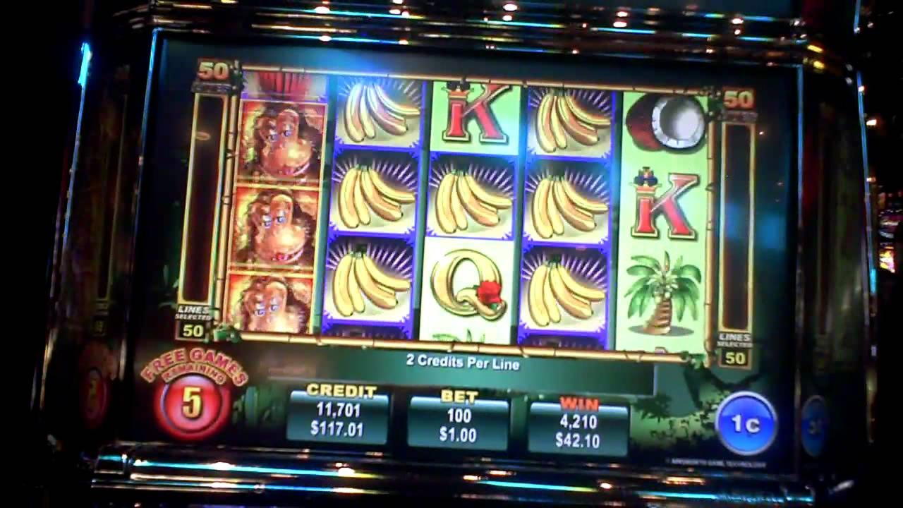 ﻿$3805 No Deposit Bonus Casino at Campo Bet Casino