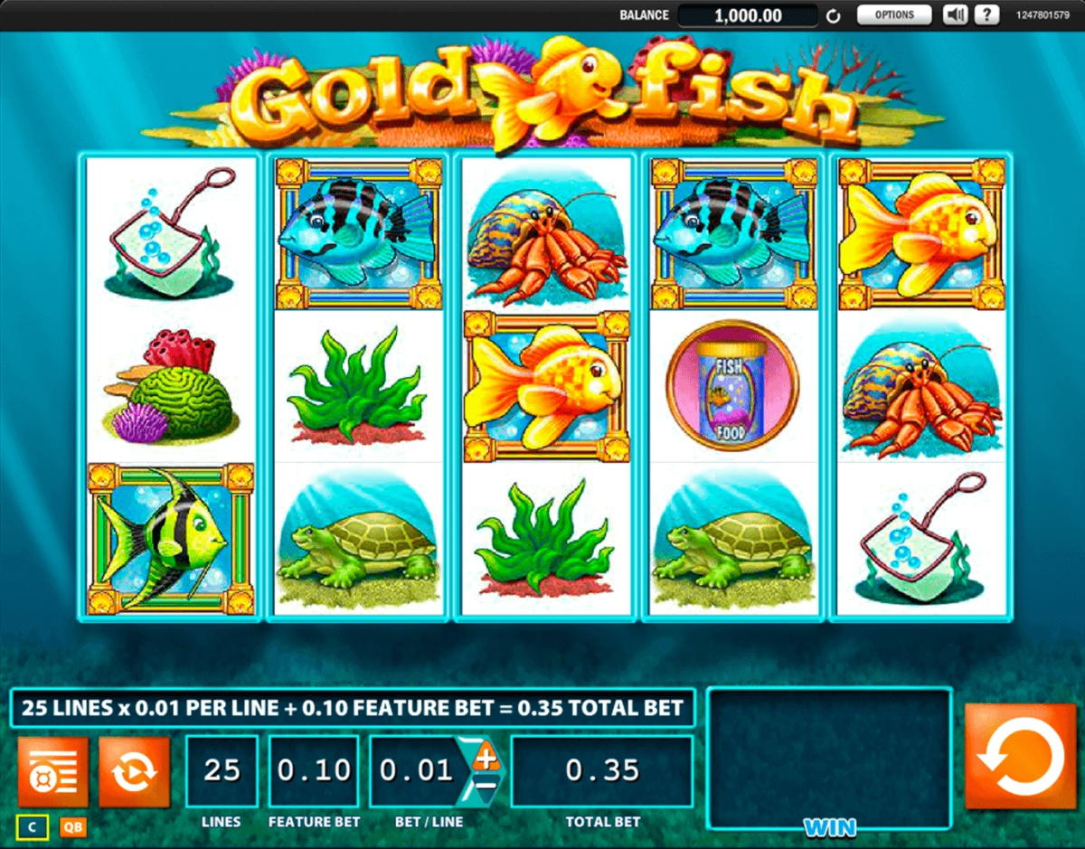 Eur 345 Daily freeroll slot tournament at Slotty Dubai Casino
