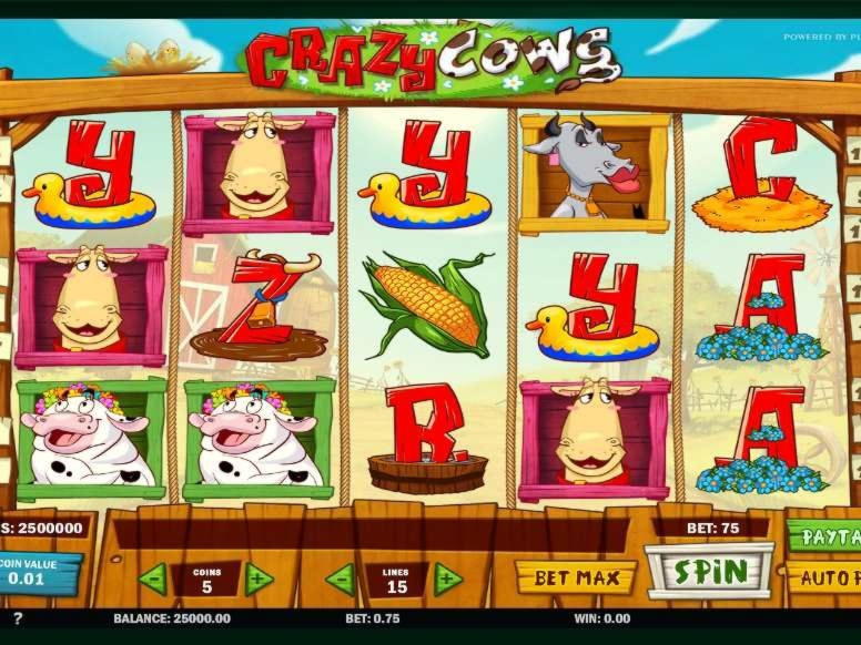 50 Loyal Free Spins! at Dunder Casino
