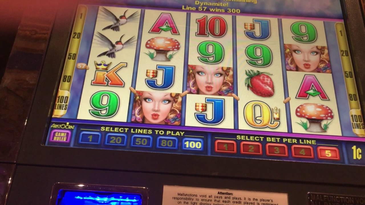 EUR 4620 No deposit bonus at Slotty Dubai Casino