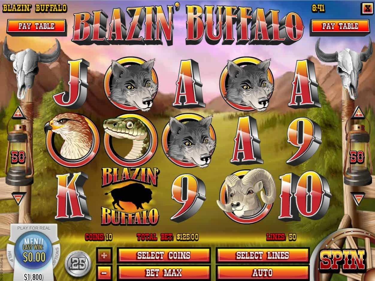 115 free spins casino at Malina Casino