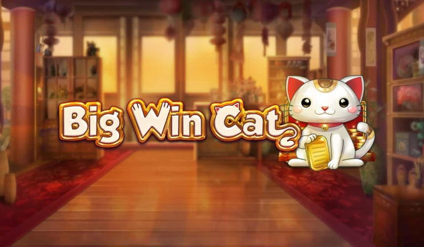 700% Match Bonus at Video Slots Casino