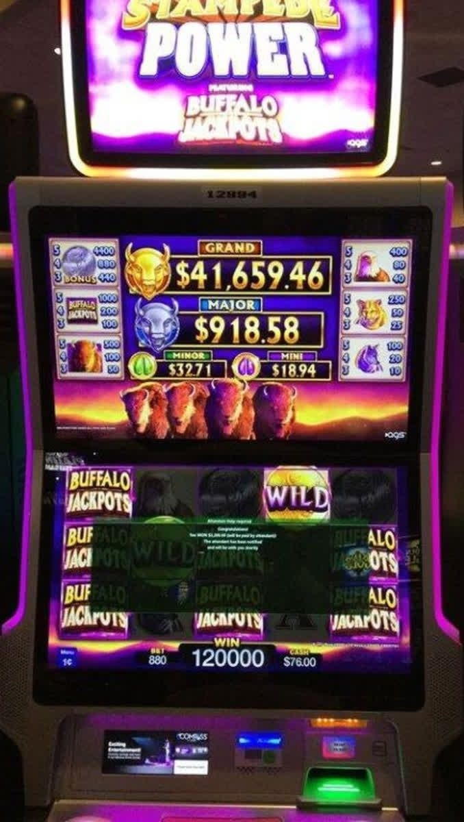 200% No Rules Bonus! at YoYo Casino