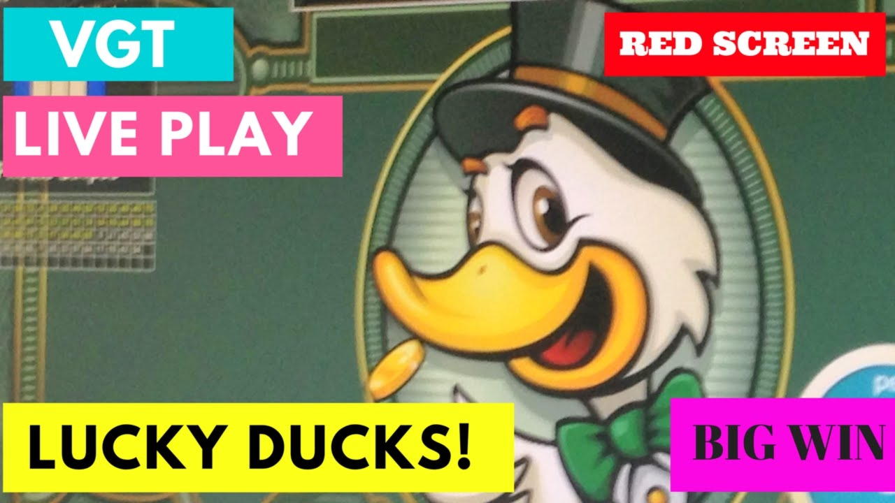 $3565 No Deposit at YoYo Casino