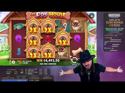 CRAZY $$,000 Canis familiaris House Win | Online Slot Gambling