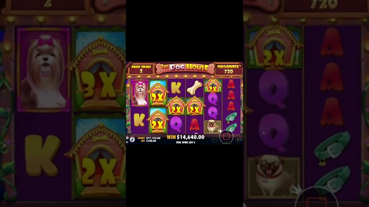 The Canis familiaris House Megaways ?Amazing WIN Bonus Buy | loose Spins Online Casino Slot Game#1